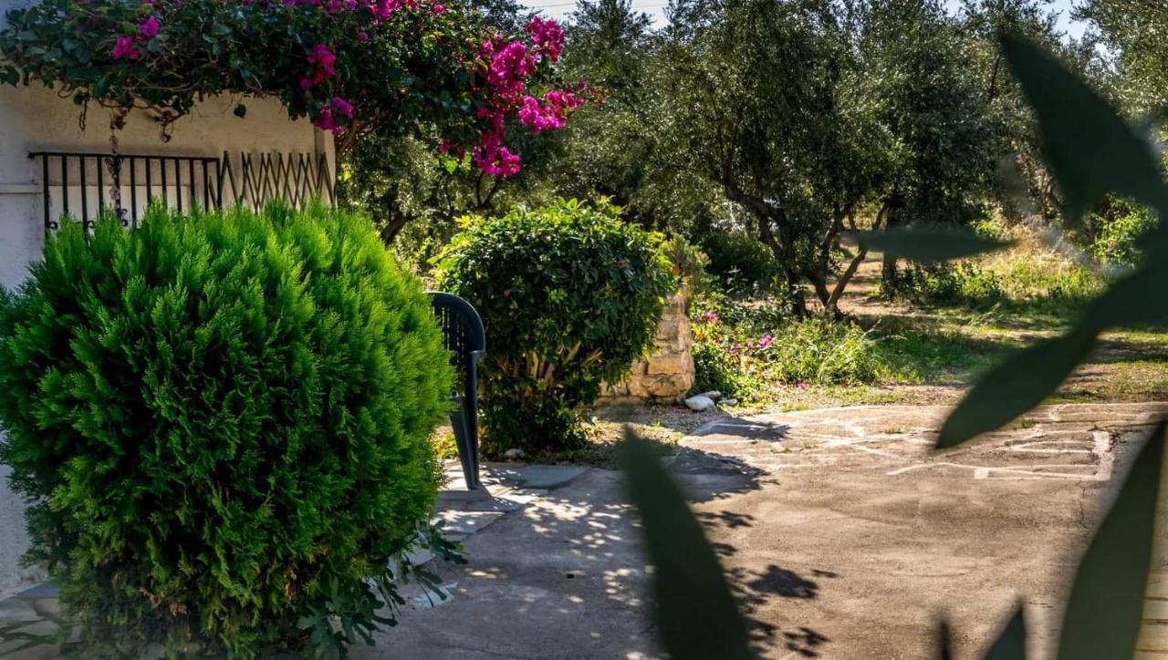 Alexandra Apartments Στούπα Εξωτερικό φωτογραφία